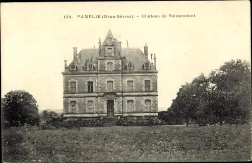 Ak Pamplie Deux Sevres, Chateau de Boissoudant