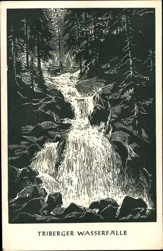 Künstler Ak Triberg im Schwarzwald, Wasserfall im Wald