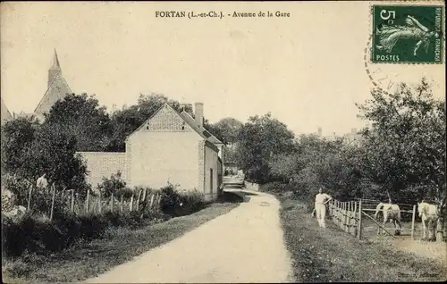 Ak Fortan Loir et Cher, Avenue de la Gare, Pferde