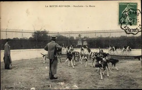 Ak Lamotte Beuvron Loir et Cher, Bouchetin, la Meute, Jagdhunde