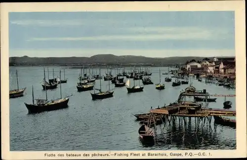 Ak Gaspé Québec Kanada, fishing fleet at Barachois
