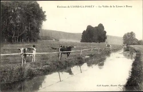 Ak Lyons la Forêt Eure, La Vallee de la Lieure a Rosay