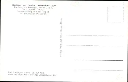 Ak Presberg Rüdesheim, Pension Rheingauer Alp, Hunsrück, Rheintal, Wispertal, Grolochtal