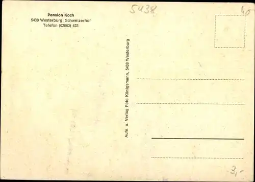 Ak Westerburg im Westerwaldkreis, Pension Koch, Ausritt mit den Pferden