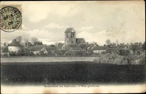 Ak Beaumont-Gatinais Seine et Marne, vue générale de l'endroit
