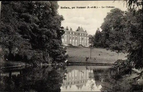 Ak Breau Seine et Marne, par Mormant, Le Chateau, vu de l'etang