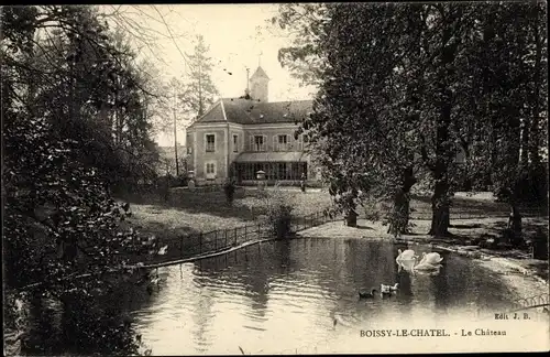 Ak Boissy-le-Châtel Seine et Marne, Le Chateau, vue extérieure, etang, cygnes
