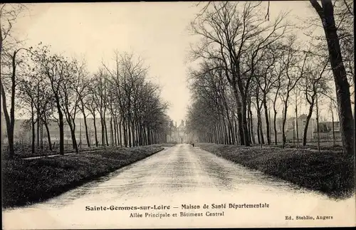 Ak Sainte Gemmes sur Loire Maine et Loire, Maison de Sante Departementale, Allee Principale