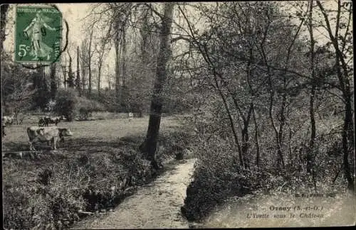 Ak Orsay Essonne, L'Yvette sous le Chateau