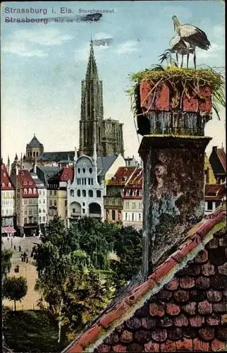 Ak Strasbourg Straßburg Elsass Bas Rhin, Storchennest, Schornstein, Münster