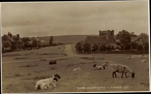 Ak Goathland Yorkshire England, Judges, church, sheep