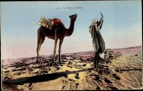 Ak La Prière au Désert, Araber betet in der Wüste, Kamel, Maghreb