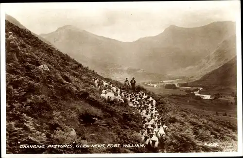 Ak Fort William Glen Nevis Schottland, Changing Pastures