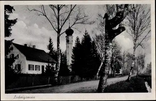 Ak Ludwigsmoos Königsmoos in Oberbayern, Straßenpartie