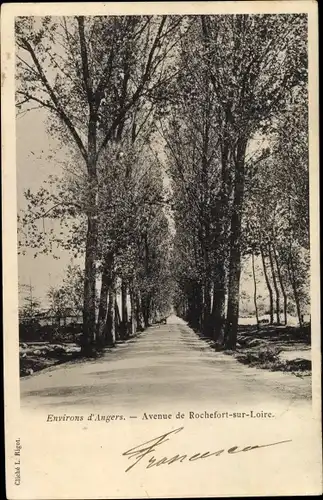 Ak Rochefort sur Loire Maine et Loire, Environs d'Angers, Avenue