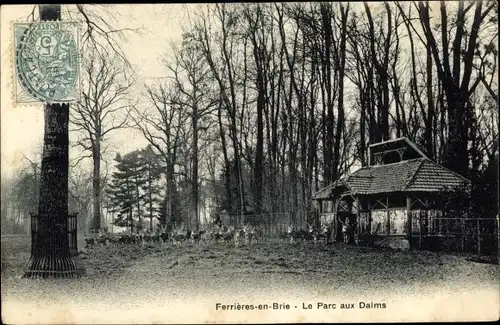 Ak Ferrieres en Brie Seine et Marne, Le Parc aux Daims, arbres