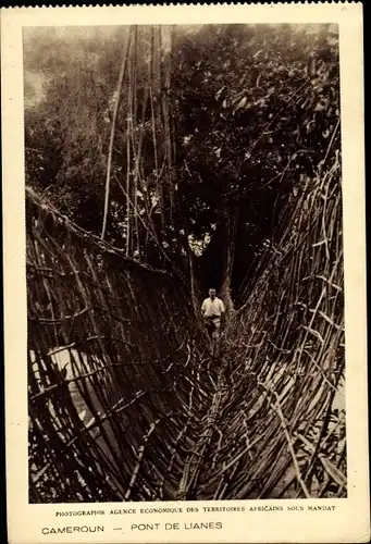 Ak Kamerun, Pont de Lianes