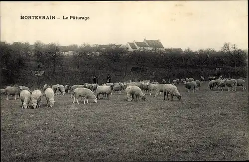 Ak Montevrain Seine et Marne, Le Paturage, Schafherde