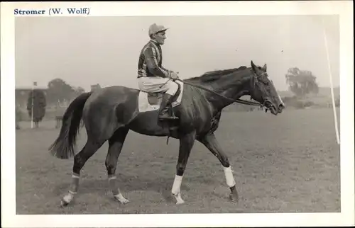 Foto Ak Stromer Rennpferd, Jockey W. Wolff