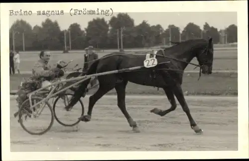 Foto Ak Brino magnus Rennpferd, Jockey Frömming