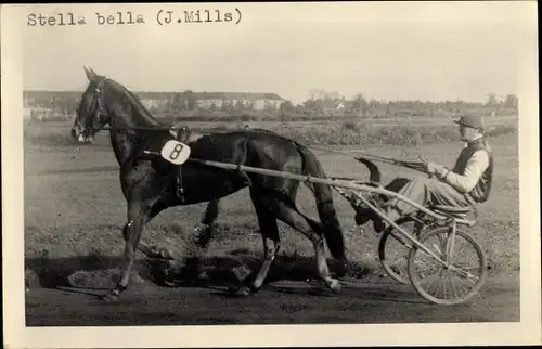 Foto Ak Stella Bella Rennpferd, Jockey J. Mills