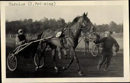 Foto Ak Carolus Rennpferd, Jockey J. Frömming