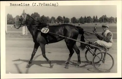 Foto Ak Bammeline Rennpferd, Jockey J. Frömming