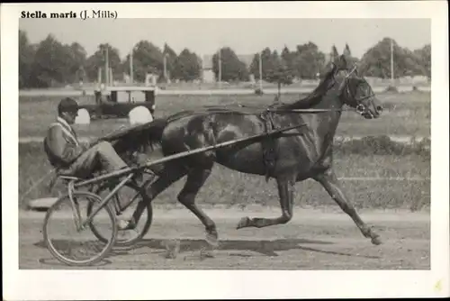 Foto Ak Stella maris Rennpferd, Jockey J. Mills