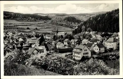 Ak Schmitten im Taunus Hessen, Panorama vom Feldbergweg