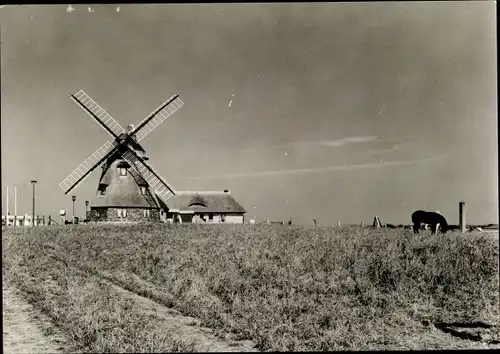 Ak Groß Stieten in Mecklenburg Vorpommern, Gaststätte Windmühle