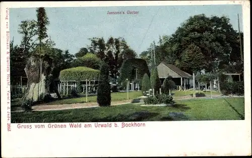 Ak Bockhorn in Friesland, Grüner Wald am Urwald, Janssen's Garten