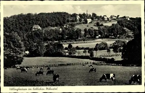 Ak Völlinghausen Möhnesee in NRW, Teilansicht vom Ort mit Umgebung, Kühe auf der Weide