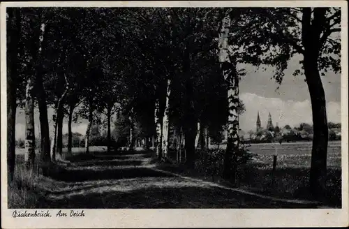 Ak Quakenbrück in Niedersachsen, Am Deich, Birkenallee, Kirche