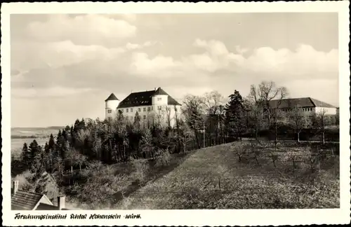 Ak Ahorn Hohenstein, Forschungsinstitut Schloss Hohenstein, Panoramaansicht