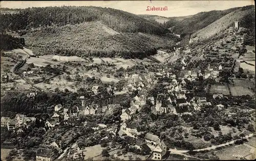 Ak Bad Liebenzell im Schwarzwald, Panoramaansicht von Ortschaft