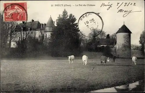 Ak Brécy Cher, Le Pré du Chateau