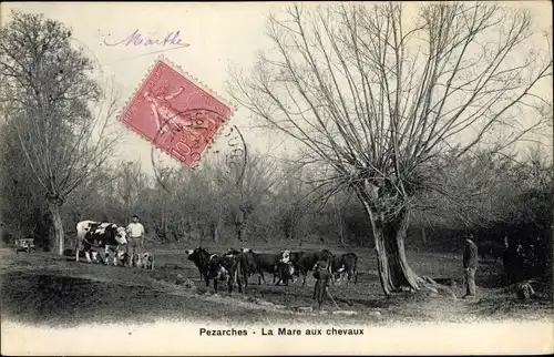 Ak Pézarches Seine et Marne, La Mare aux chevaux