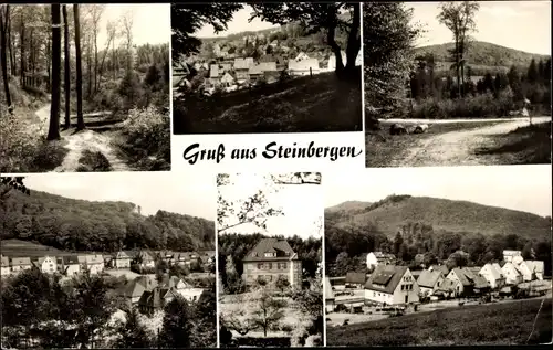 Ak Steinbergen Rinteln, Ansichten vom Ort, Waldpartie, Panorama, Totalansicht