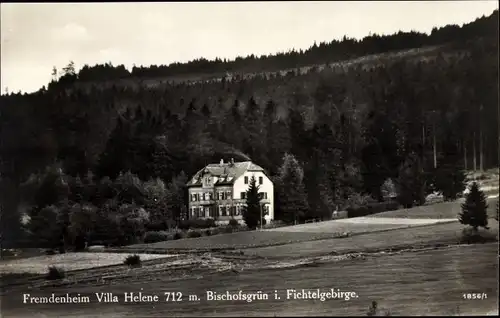 Ak Bischofsgrün im Fichtelgebirge, Fremdenheim Villa Helene, Waldpartie