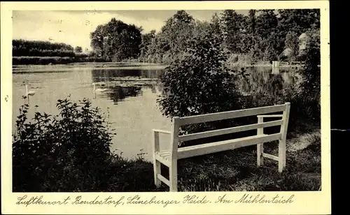 Ak Bendestorf Lüneburger Heide, Partie am Mühlenteich, Parkbank, Schwäne