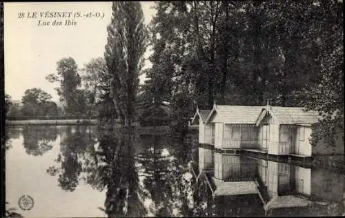 Ak Le Vésinet Yvelines, Lac des Ibis, maisons