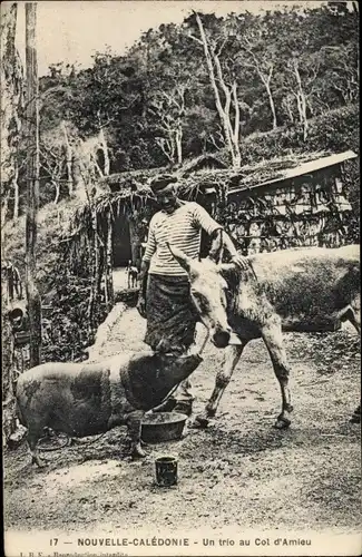 Ak Nouvelle-Calédonie Neukaledonien, Bewohner mit Esel und Schwein