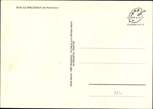 Ak Waldshut Tiengen am Hochrhein Baden Wüttemberg, Totalansicht der Ortschaft, Schloss