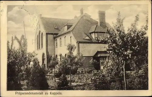 Ak Kappeln an der Schlei, Präparandenanstalt