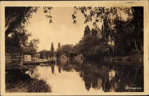 Ak Villennes sur Seine Yvelines, Pont de Villennes, Sophora