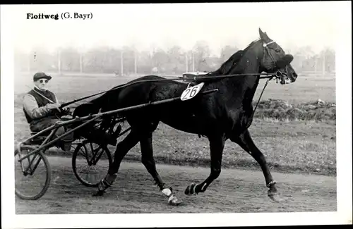 Ak Rennpferd Flottweg, Jockey G. Bayr