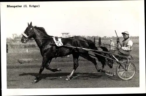 Ak Rennpferd Blaupeter, Jockey G. Krüger