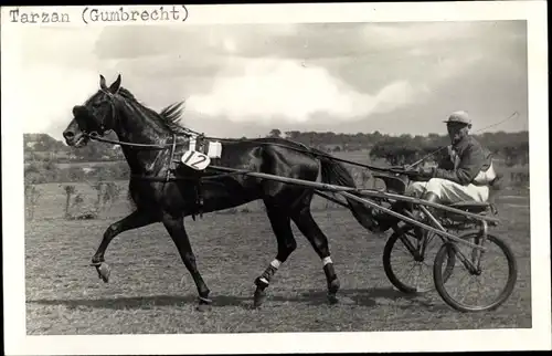 Ak Rennpferd Tarzan, Jockey Gumbrecht