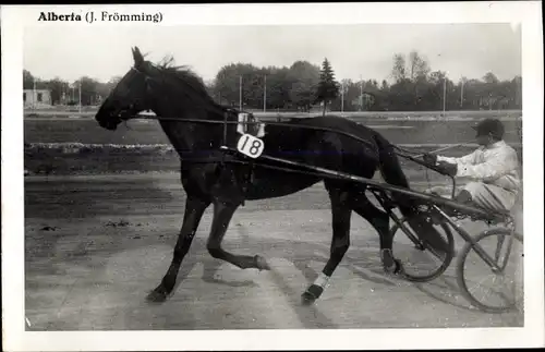 Ak Rennpferd Alberta, Jockey J. Frömming