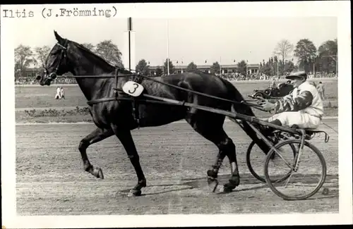 Ak Rennpferd Iltis, Jockey J. Frömming